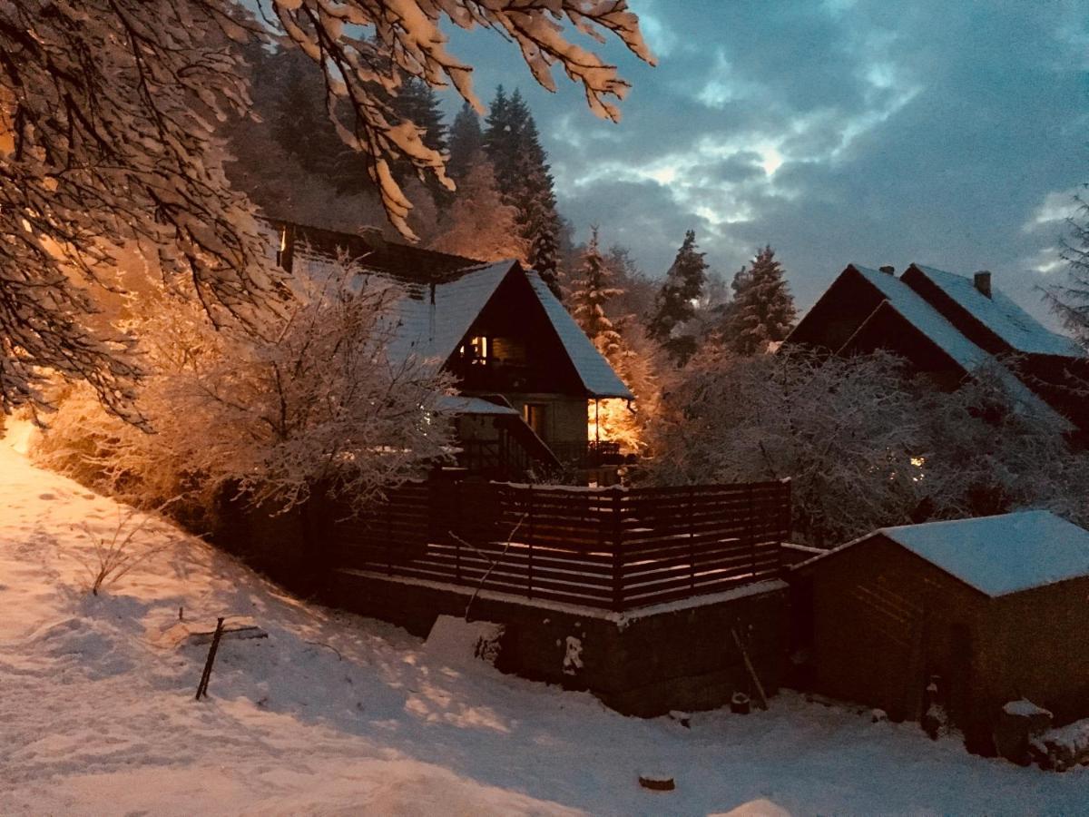 Soho Lodge Rasnov Ngoại thất bức ảnh