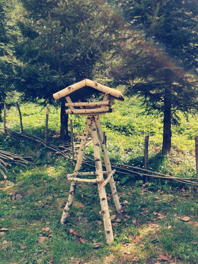 Soho Lodge Rasnov Ngoại thất bức ảnh