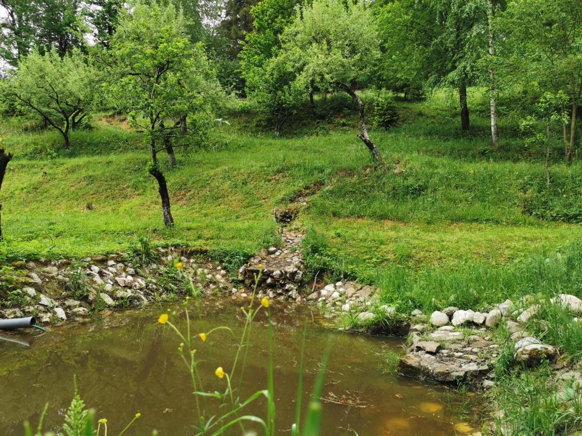 Soho Lodge Rasnov Ngoại thất bức ảnh