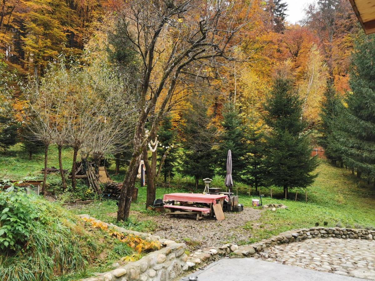 Soho Lodge Rasnov Ngoại thất bức ảnh