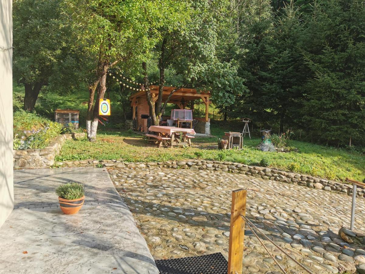 Soho Lodge Rasnov Ngoại thất bức ảnh