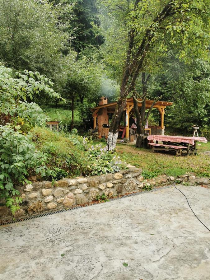 Soho Lodge Rasnov Ngoại thất bức ảnh