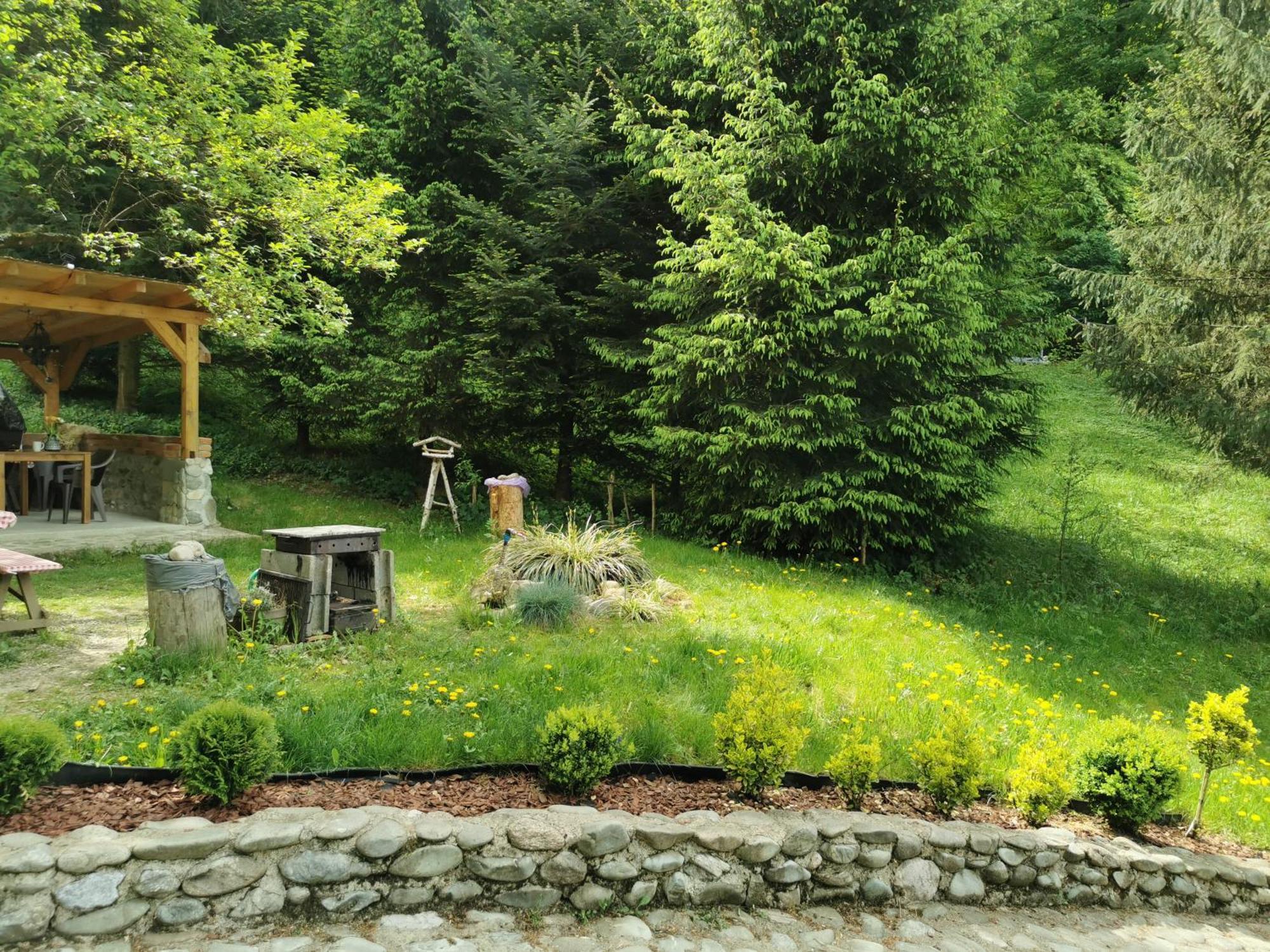 Soho Lodge Rasnov Ngoại thất bức ảnh